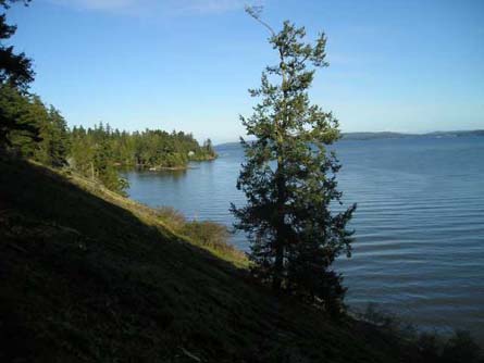 Vancouver Island Ocean Front Property For Sale Vancouver Island Ocean Front Property For Sale